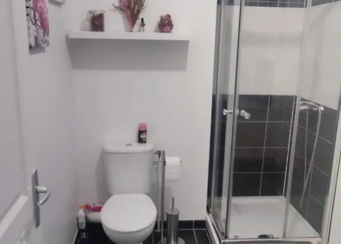 Apartment Proche Et Paris - Terrasse Et Parking Prive *